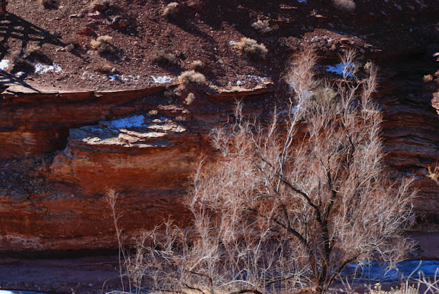 marble canyon arizona